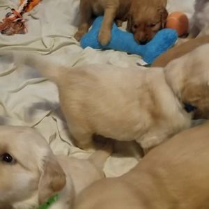 Meet your Posher, Cathrine